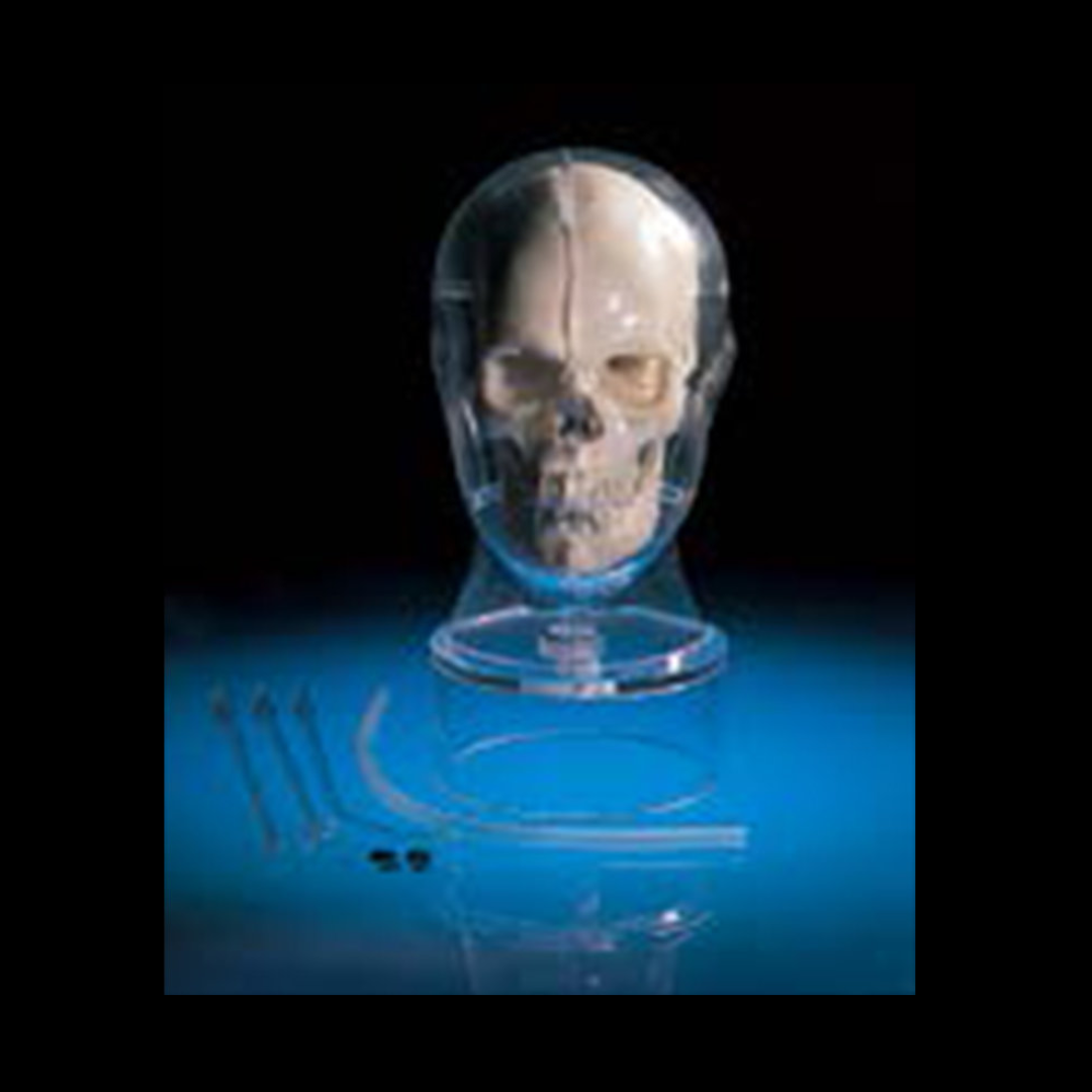 MRI/NM Head Phantom BHC - kyoto kagaku